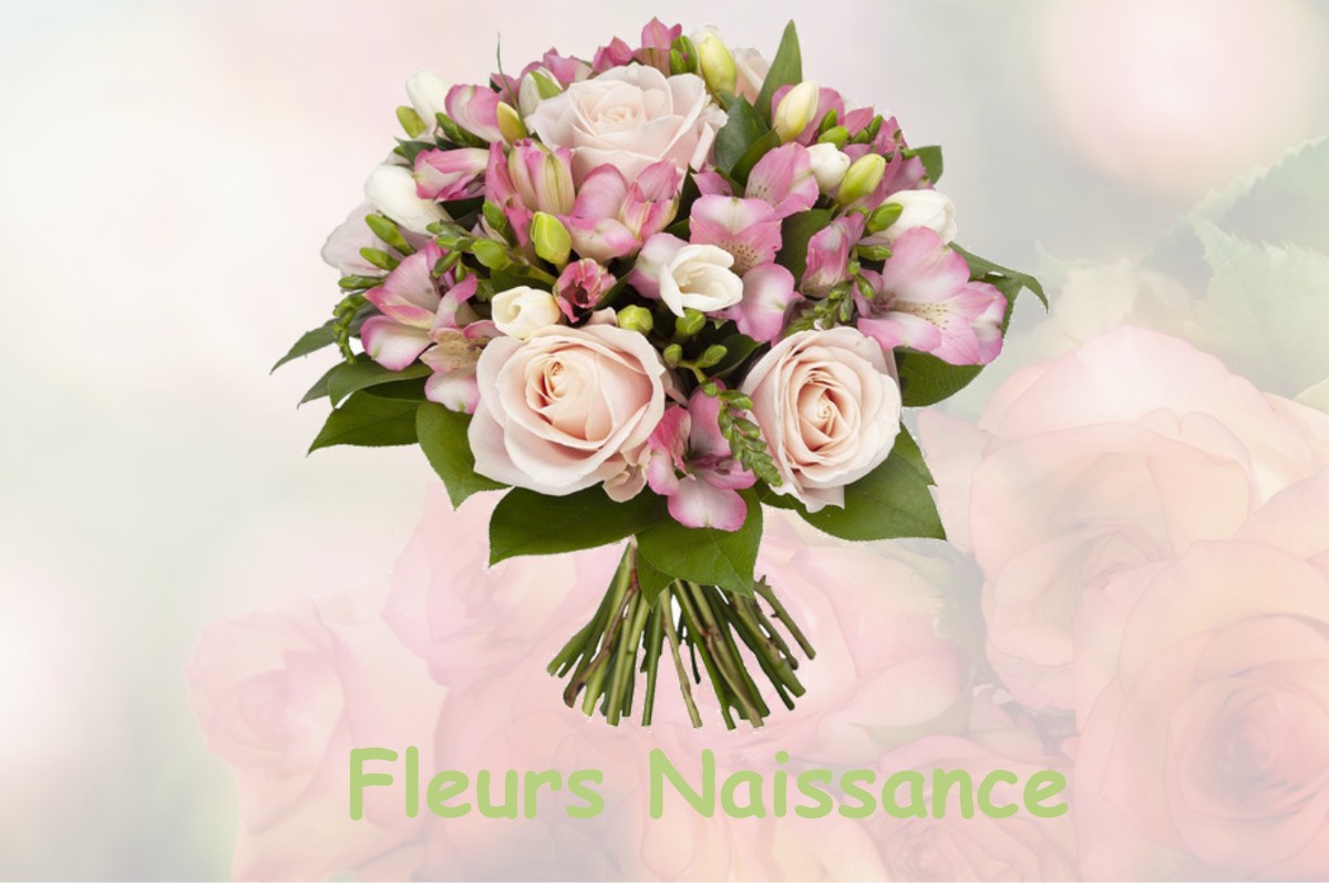 fleurs naissance VILLERS-FRANQUEUX