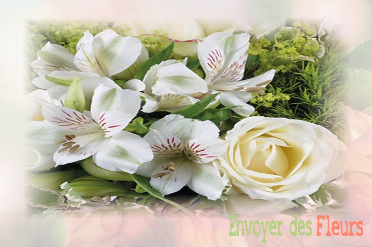 envoyer des fleurs à à VILLERS-FRANQUEUX